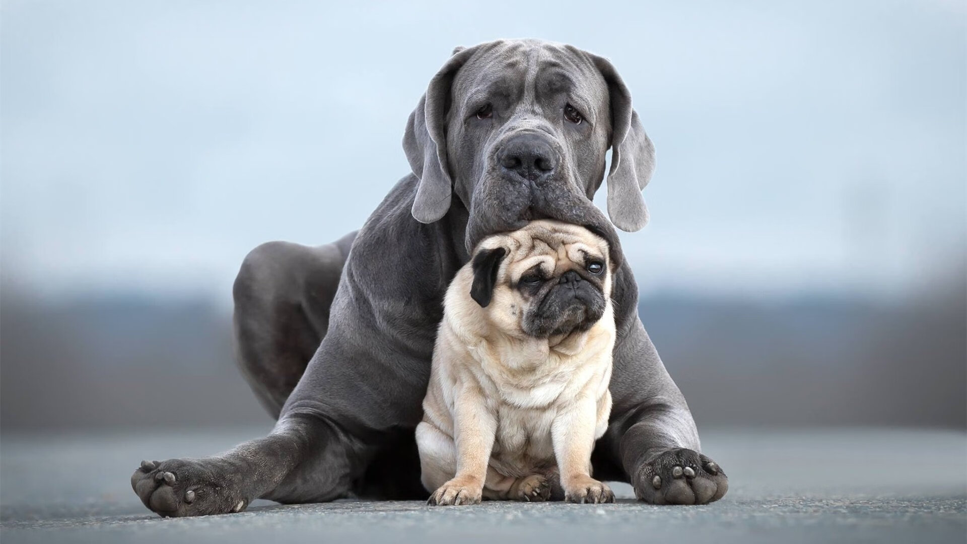传统民族蹴鞠比赛，传承古老运动文化，蹴鞠宣传