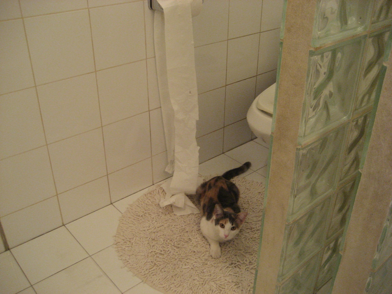 九游APP官网-_精准射箭比赛：挥弓之间的专注力量_，射箭很准