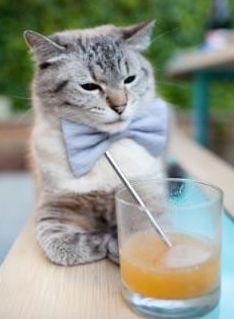 交易干货：最新转会动态全掌握，转会窗口百度百科